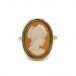 Ring mit Muschelgemme Kamee antik in 18 Kt. 750 Gelbgold Gr. 56